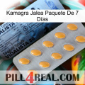 Kamagra Jalea Paquete De 7 Días 44